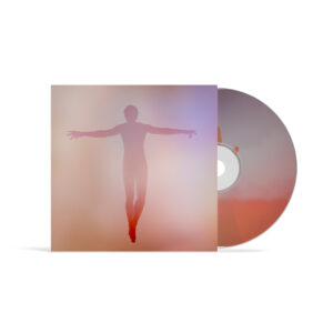 The Perfect Storm (cd)