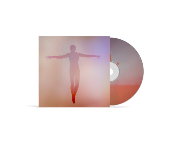 The Perfect Storm (cd)